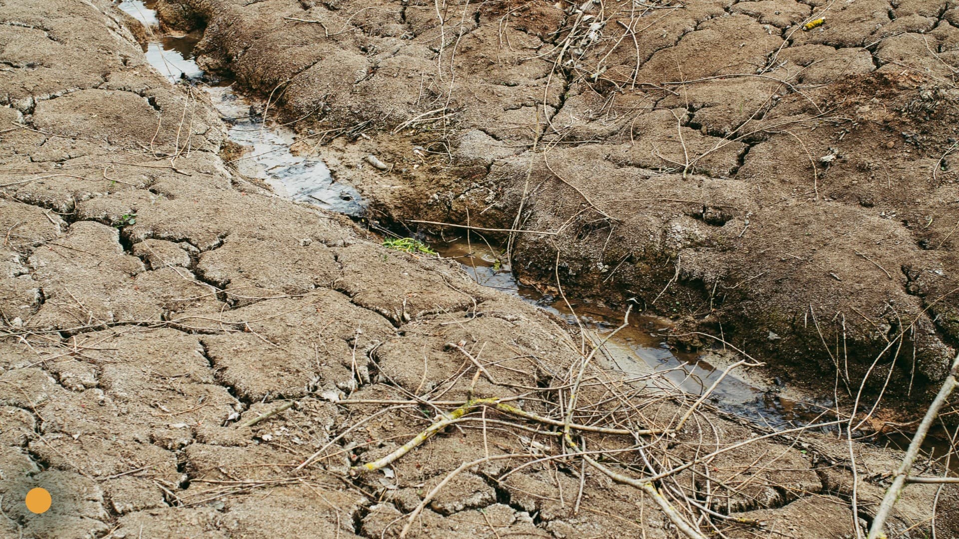 drought